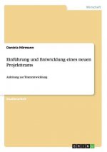 Einfuhrung und Entwicklung eines neuen Projektteams