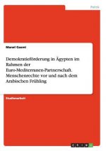 Demokratiefoerderung in AEgypten im Rahmen der Euro-Mediterranen-Partnerschaft. Menschenrechte vor und nach dem Arabischen Fruhling