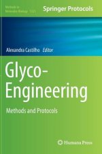 Glyco-Engineering