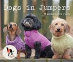Dogs in Jumpers