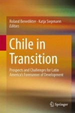 Chile in Transition