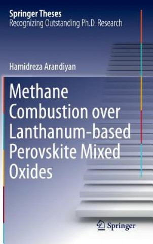 Methane Combustion over Lanthanum-based Perovskite Mixed Oxides