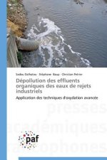 Depollution Des Effluents Organiques Des Eaux de Rejets Industriels