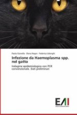 Infezione da Haemoplasma spp. nel gatto