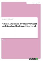 Chancen und Risiken der Kreativwirtschaft am Beispiel des Hamburger Gängeviertels