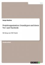 Projektorganisation. Grundtypen und deren Vor- und Nachteile