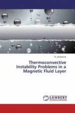 Thermoconvective Instability Problems in a Magnetic Fluid Layer