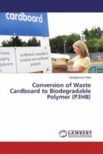 Conversion of Waste Cardboard to Biodegradable Polymer (P3HB)