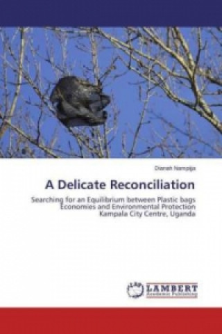 A Delicate Reconciliation
