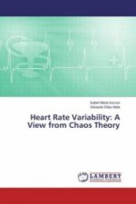 Heart Rate Variability: A View from Chaos Theory