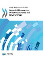 Material resources, productivity and the environment