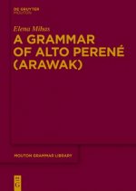 Grammar of Alto Perene (Arawak)