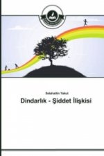 Dindarlık - Şiddet İlişkisi