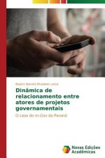 Dinamica de relacionamento entre atores de projetos governamentais