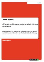 OEffentliche Meinung zwischen Individuum und Masse