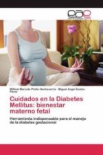 Cuidados en la Diabetes Mellitus