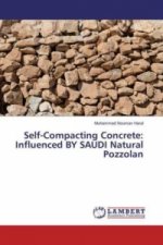 Self-Compacting Concrete: Influenced BY SAUDI Natural Pozzolan