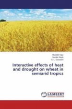Interactive effects of heat and drought on wheat in semiarid tropics