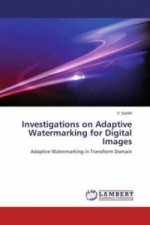 Investigations on Adaptive Watermarking for Digital Images