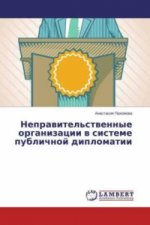 Nepravitel'stvennye organizacii v sisteme publichnoj diplomatii