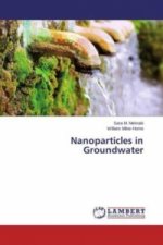 Nanoparticles in Groundwater