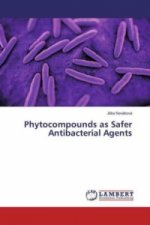 Phytocompounds as Safer Antibacterial Agents