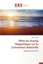 Effet Du Champ Magn tique Sur La Convection Naturelle