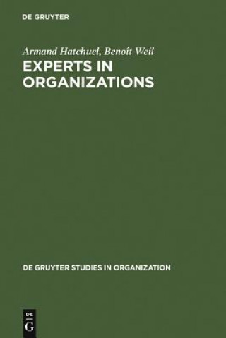 Experts in Organizations