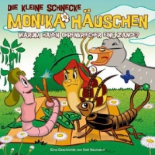 Die kleine Schnecke Monika Häuschen - Warum haben Ohrenkriecher eine Zange?, 1 Audio-CD