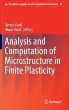 Analysis and Computation of Microstructure in Finite Plasticity