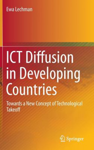 ICT Diffusion in Developing Countries