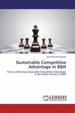 Sustainable Competitive Advantage in B&H
