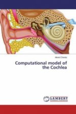 Computational model of the Cochlea