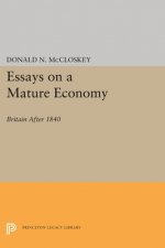 Essays on a Mature Economy