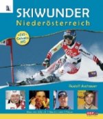 Skiwunder Niederösterreich