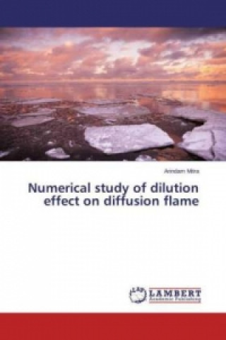 Numerical study of dilution effect on diffusion flame