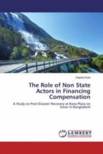 The Role of Non State Actors in Financing Compensation