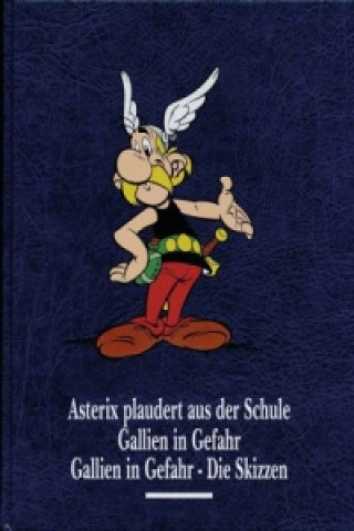 Asterix plaudert aus der Schule, Gallien in Gefahr, Gallien in Gefahr - Die Skizzen