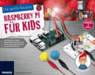 Die große Baubox Raspberry Pi für Kids, m. CD-ROM und Bauteilen