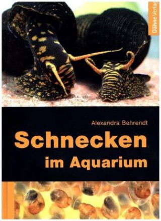 Schnecken im Aquarium