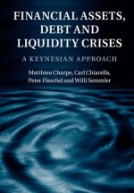 Financial Assets, Debt and Liquidity Crises