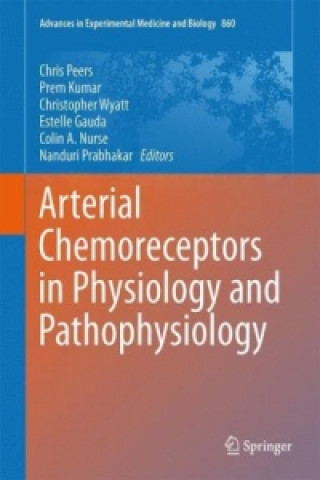 Arterial Chemoreceptors in Physiology and Pathophysiology