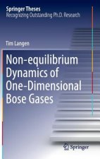Non-equilibrium Dynamics of One-Dimensional Bose Gases
