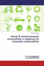 Social & environmental accounting: a response to company externalities