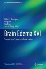 Brain Edema XVI