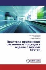 Praktika primeneniya sistemnogo podhoda v ocenke slozhnyh sistem