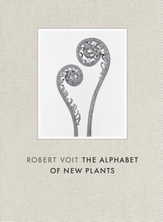 Robert Voit