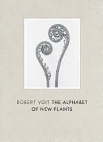 Robert Voit