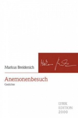 Anemonenbesuch