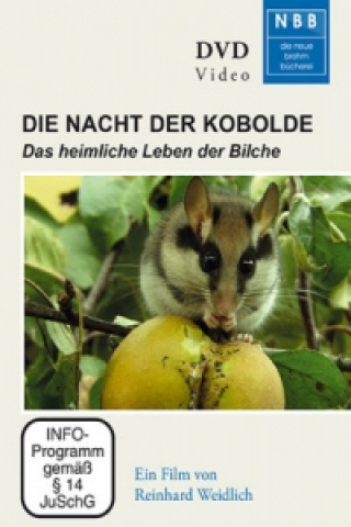 Die Nacht der Kobolde, 1 DVD